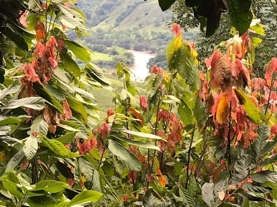Brisas del Cauca景点图片