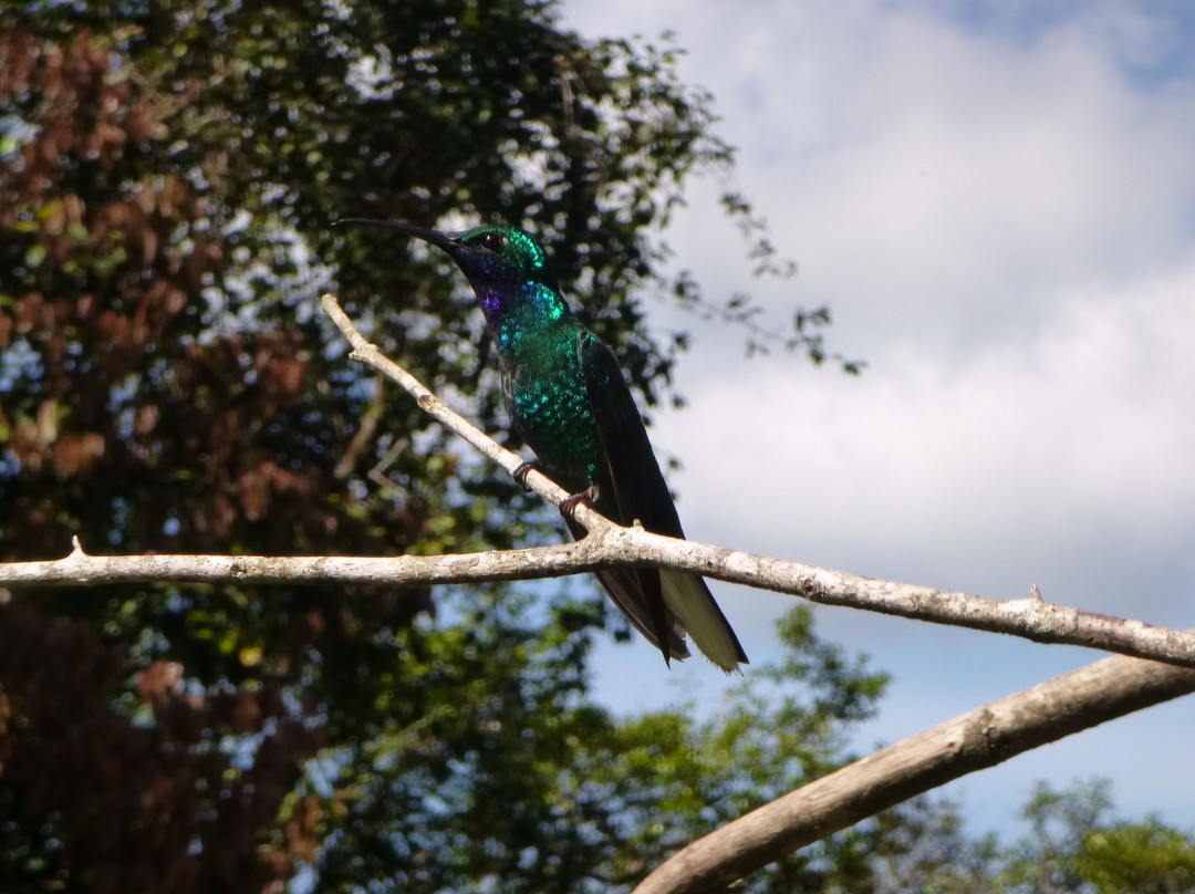 Shurland Nature Park景点图片