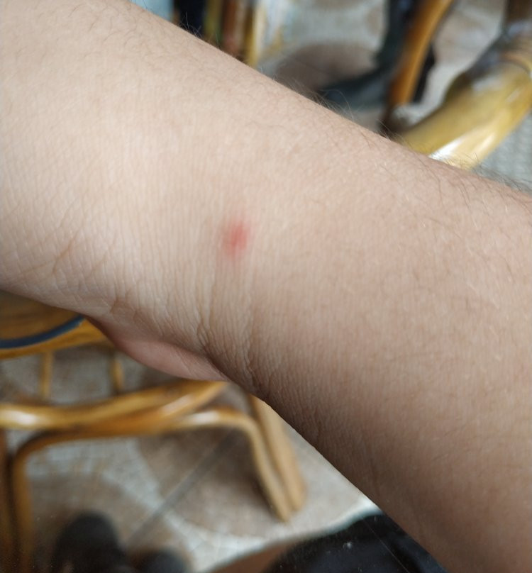 Hotel El Gamonal主图