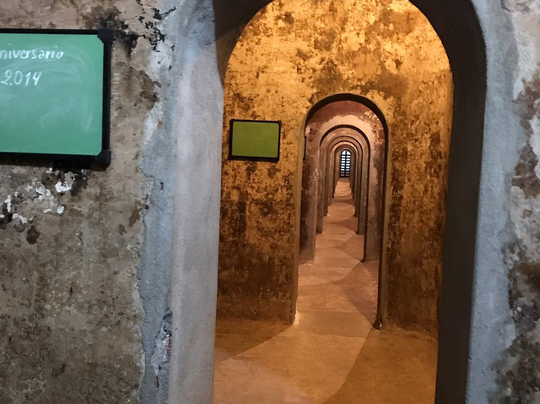 Bodega Goyenechea-圣拉斐尔必去景点