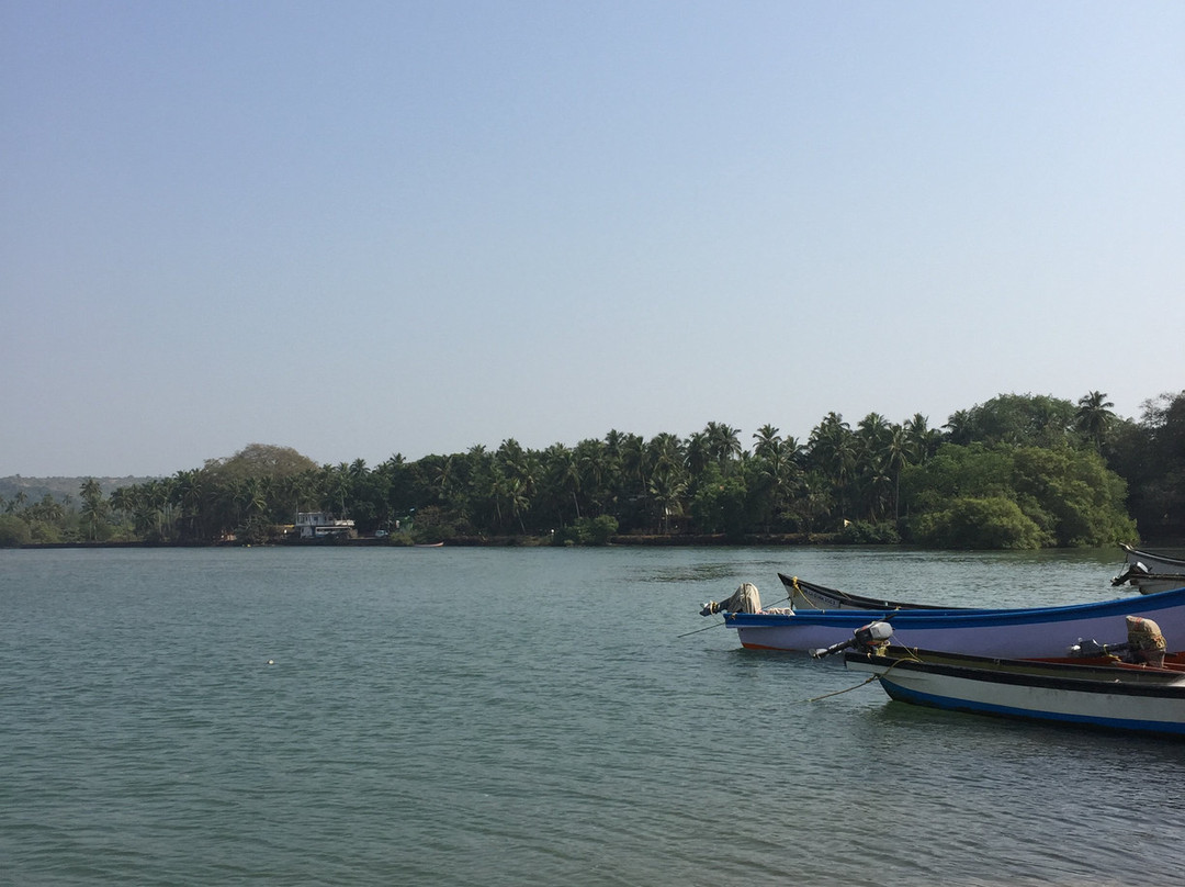 Terekhol River景点图片
