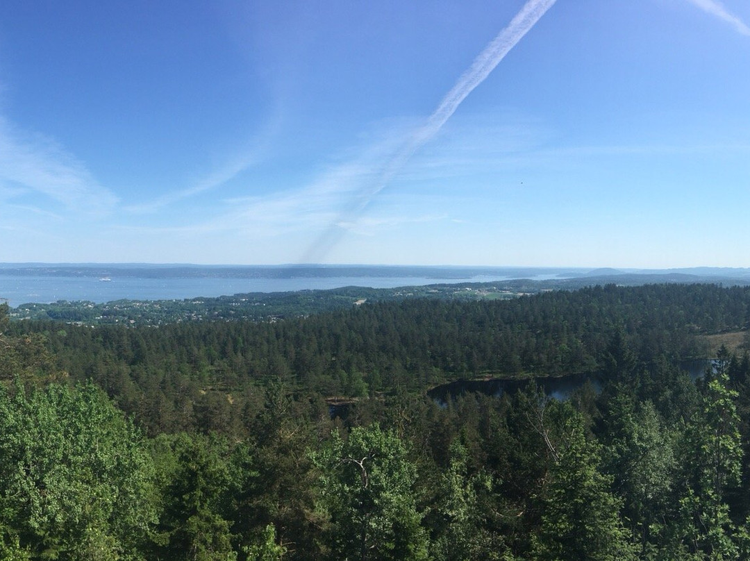 Vardåsen景点图片
