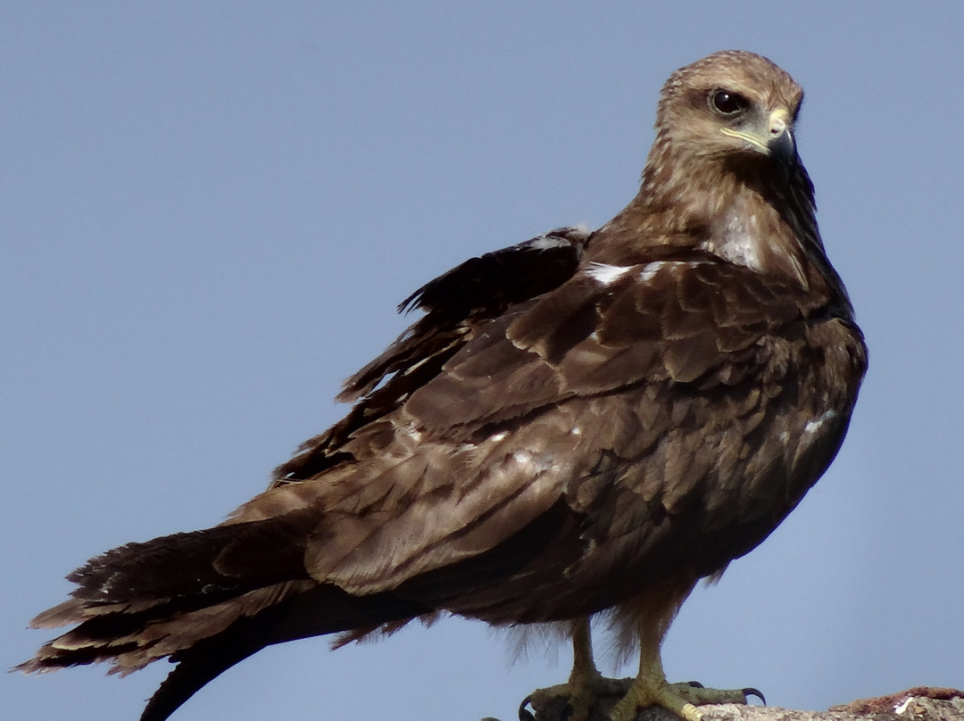 Blooming Bay - Clifftop Beach Resort主图
