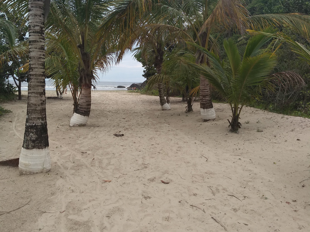 Roteiros Eco Trilhas-Peruibe必去景点