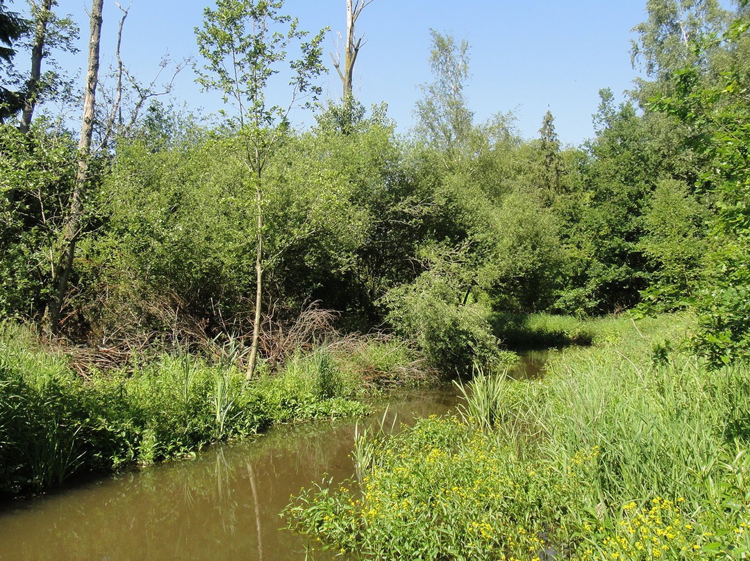Bocholt Belgie-Bocholt必去景点