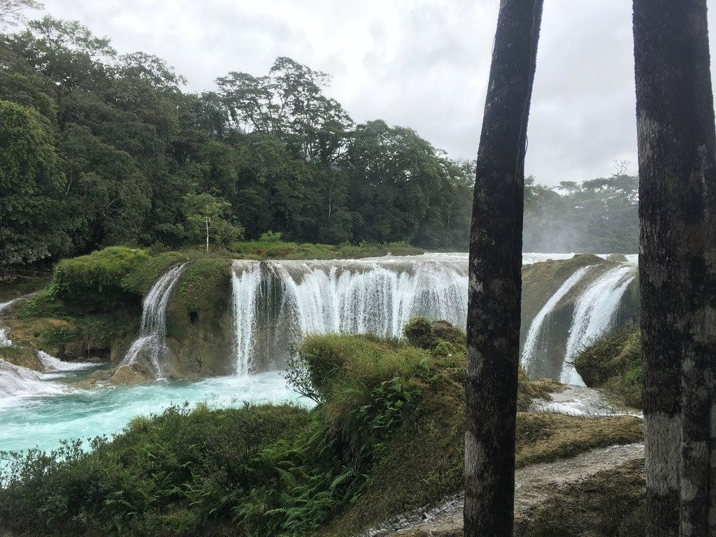 Ecolodge Las Nubes主图