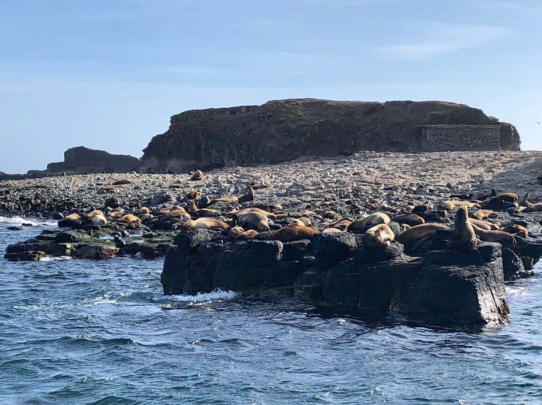 Seal Rock景点图片