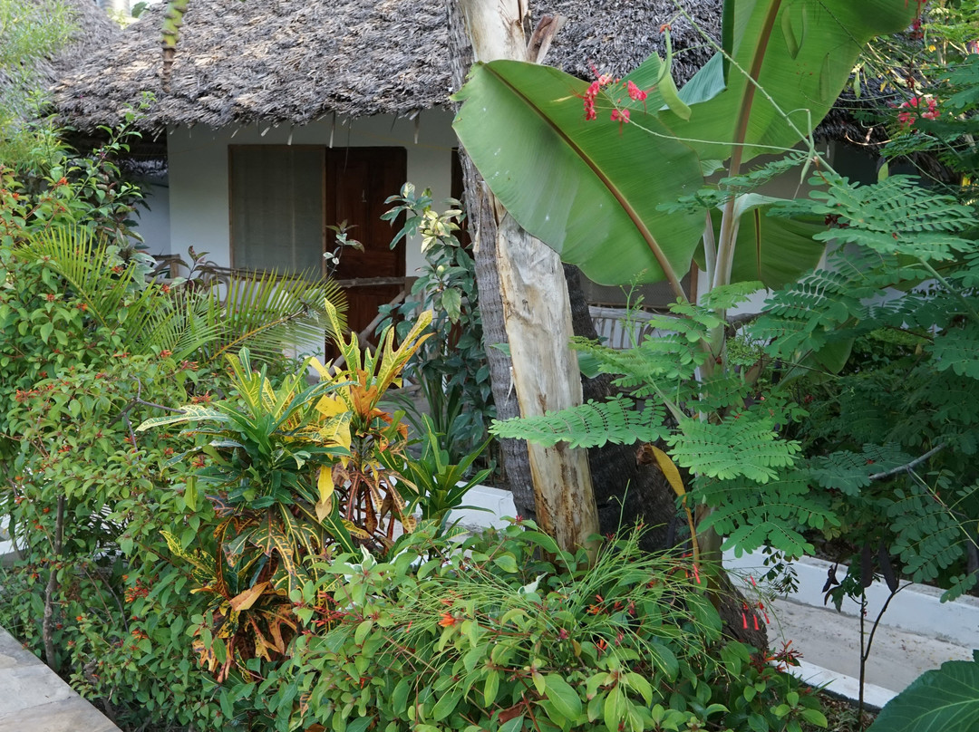 Miramont Retreat Zanzibar主图