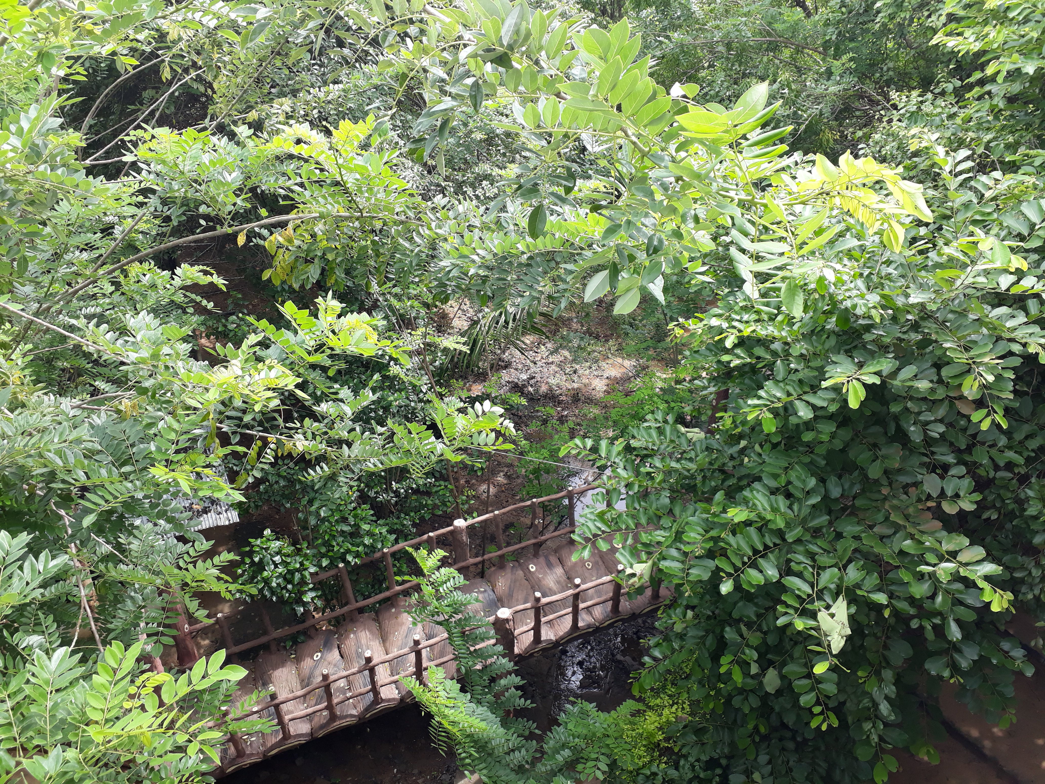 Sunitha Guest House & Hotel-官方