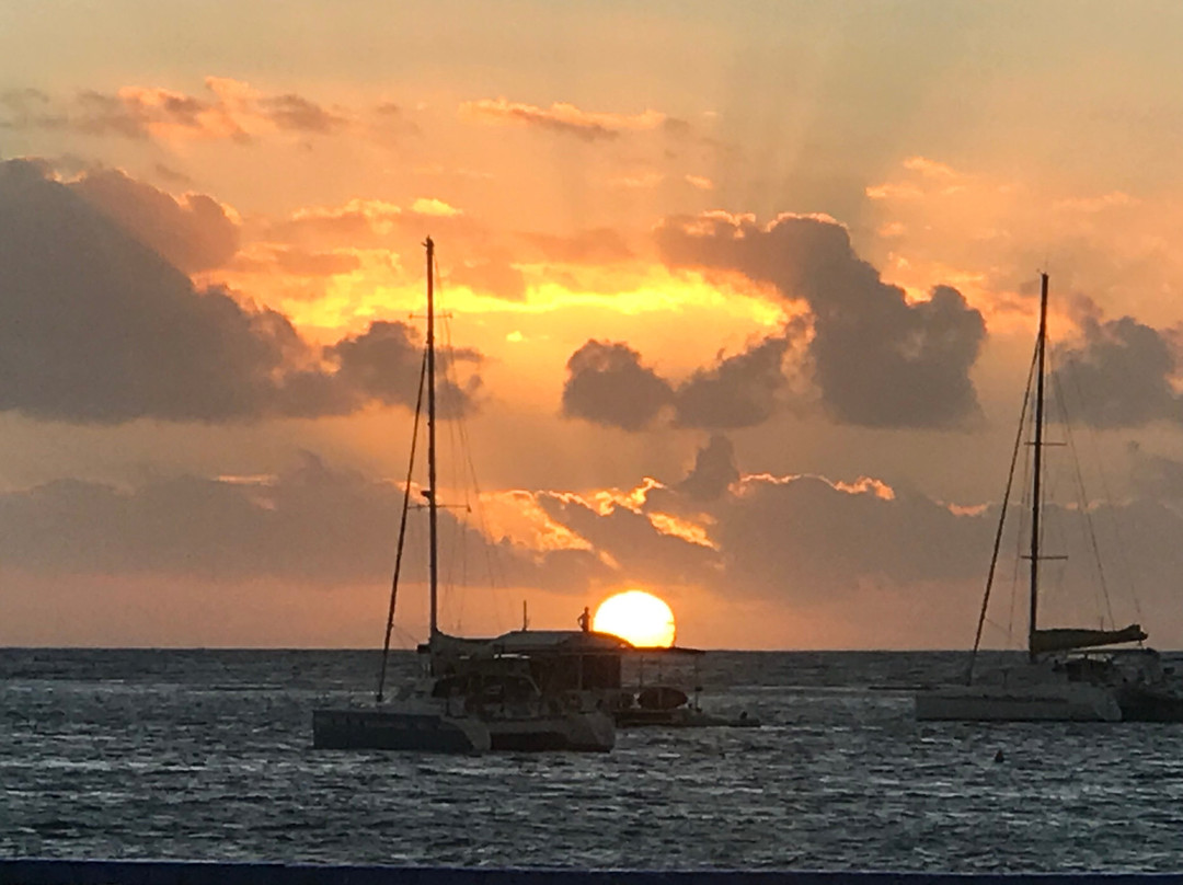 椰子园酒店主图