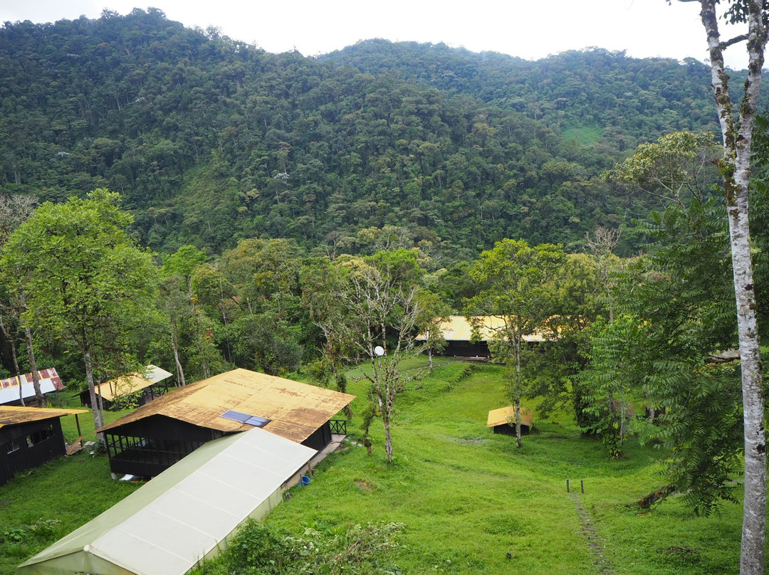 Parque Nacional Natural Cueva de los Guacharos景点图片