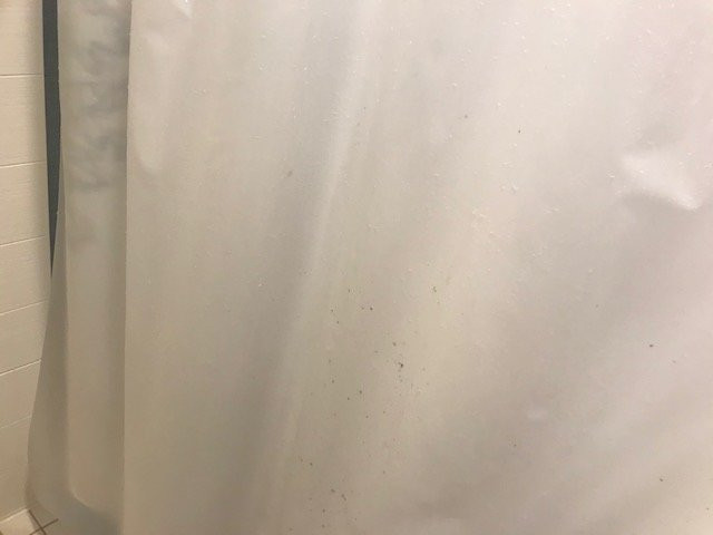 Residence Inn Largo Medical Center Drive主图