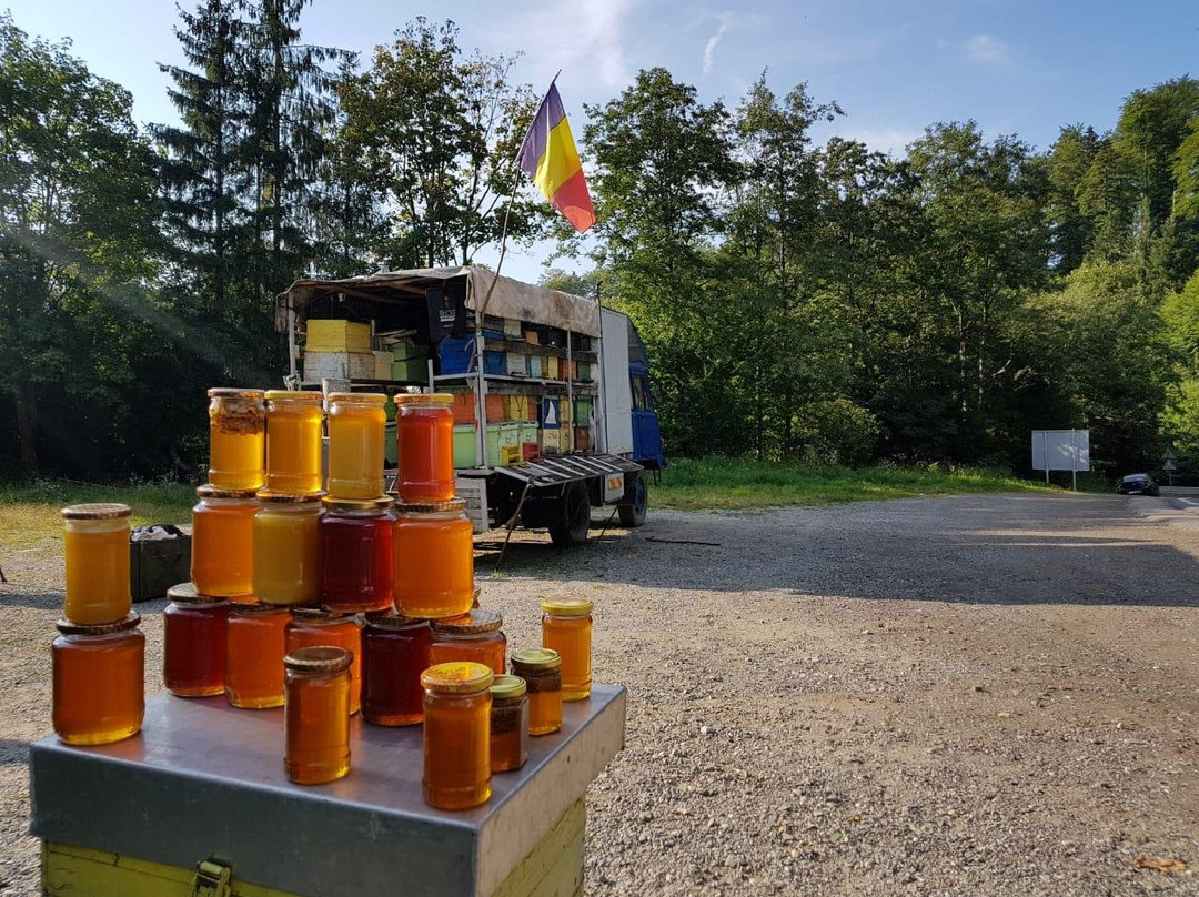 Romaniac Tours-布加勒斯特必去景点