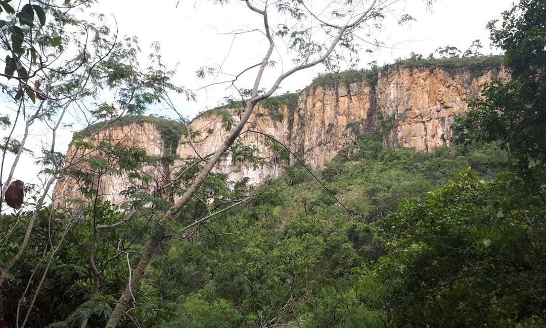 Parque Ecologico Do Paredao景点图片