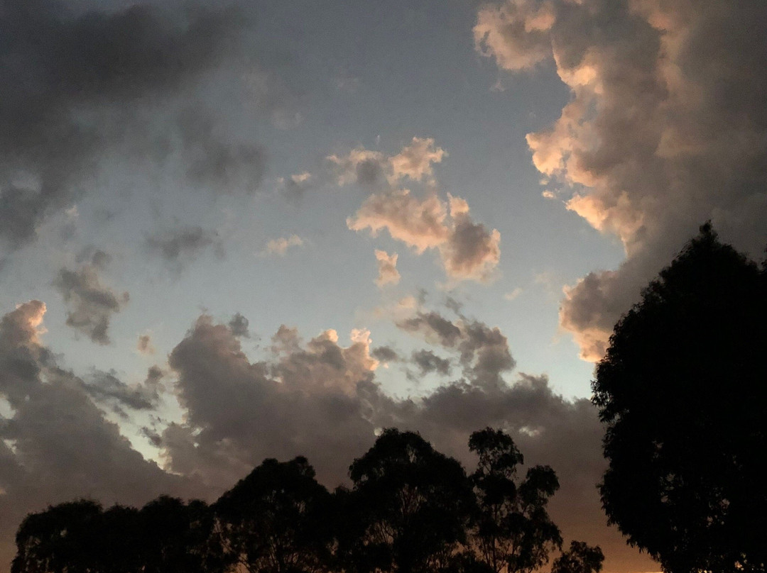 Sutherland Estate-Dixons Creek必去景点