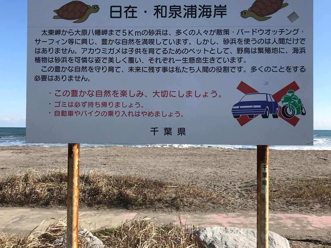 Hiariura Beach-夷隅市必去景点