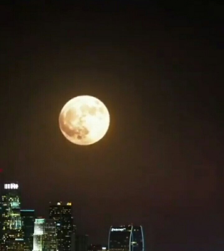 Hotel Le Castle主图