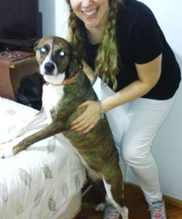 BsAs Travelers-布宜诺斯艾利斯必去景点