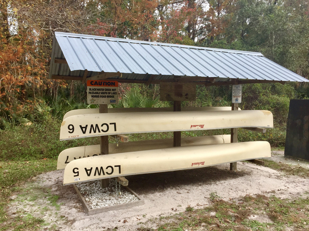 Lake Norris Conservation Area-Eustis必去景点