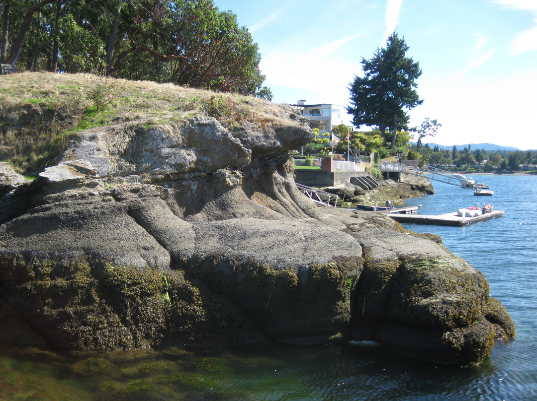 Beachcomber Regional Park景点图片