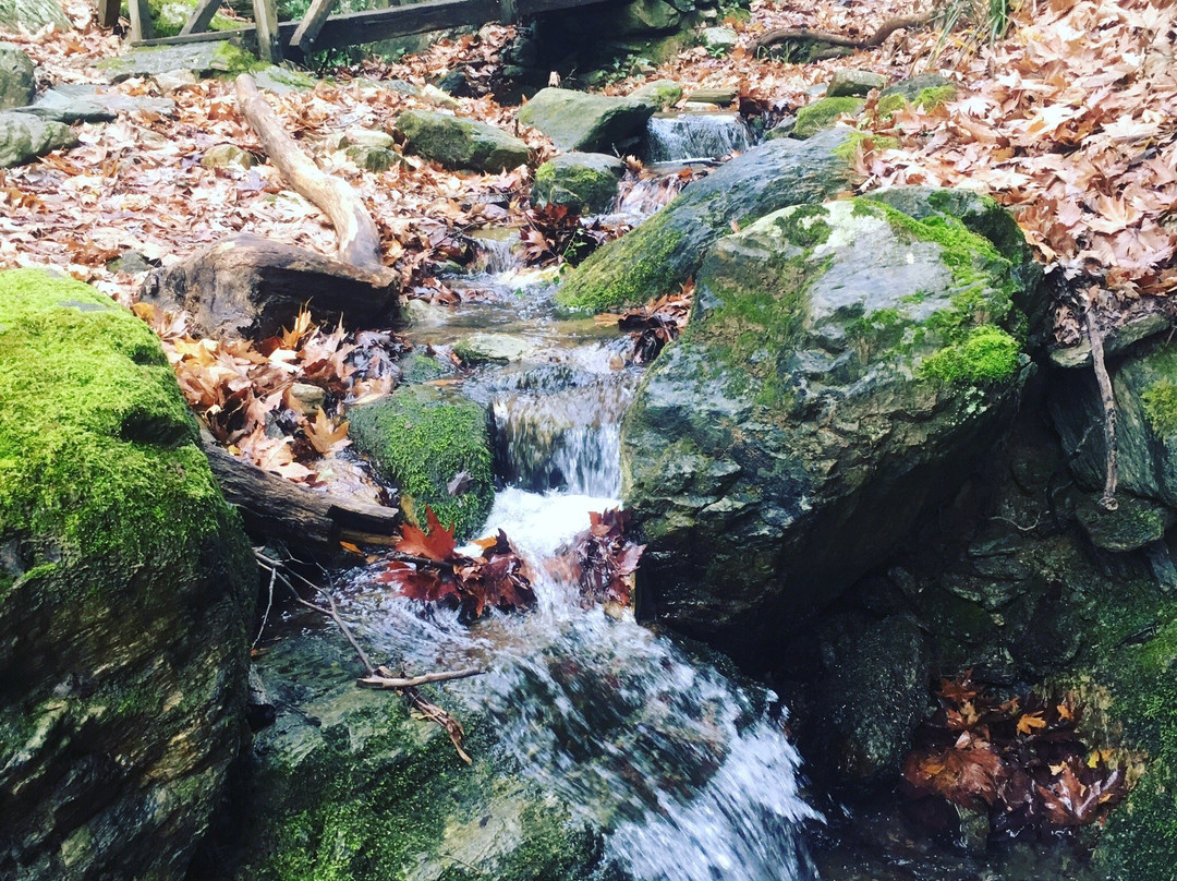 Spring of Manas-沃洛斯必去景点