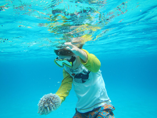 CrewZen VI Charters-夏洛特阿马利亚必去景点