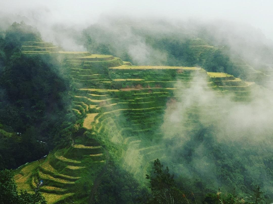 BanaueTours Specialist景点图片