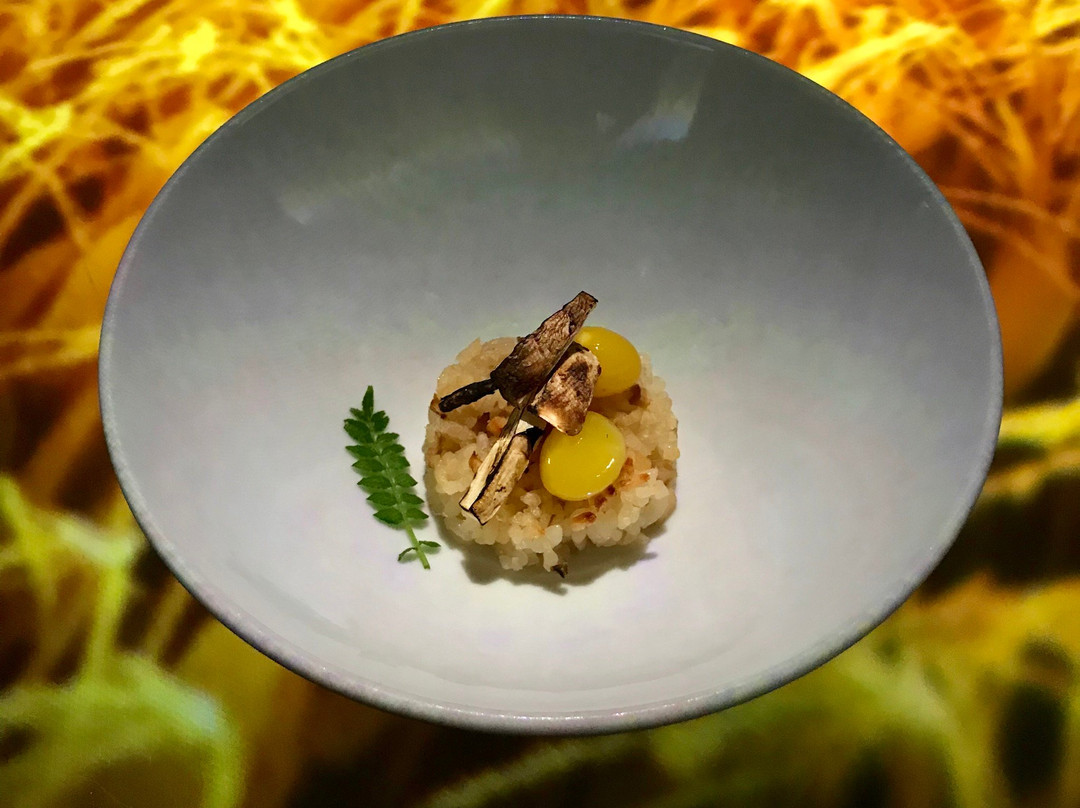 Tree by Naked Yoyogi Park