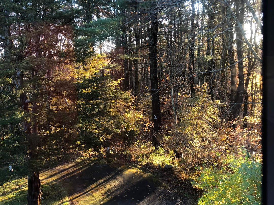 Clamber Hill Inn & Restaurant主图