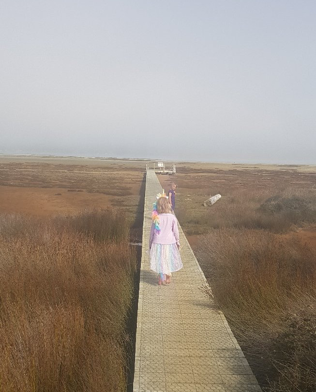 Aramoana Domain-但尼丁必去景点