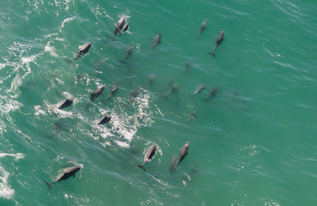 Port Macquarie Helicopters-麦克夸利港必去景点