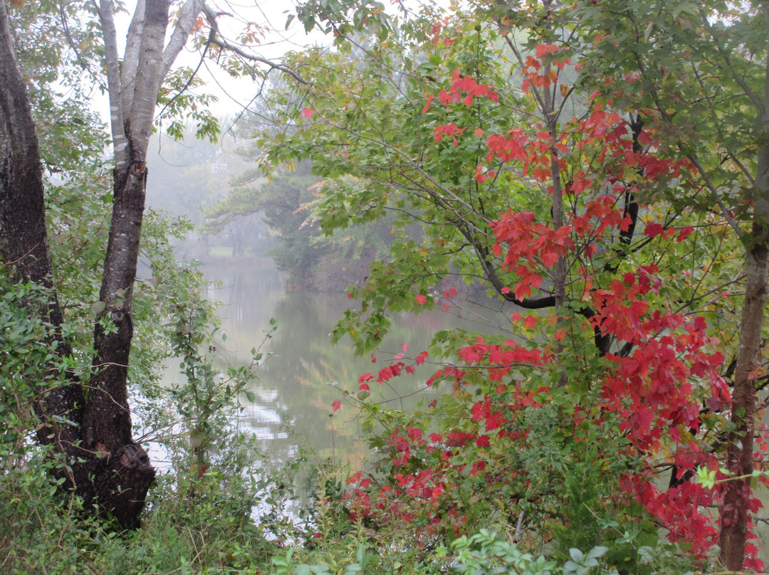 Blockhouse Pond-刘易斯必去景点