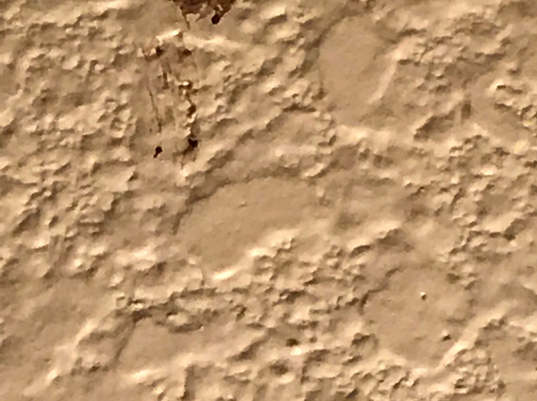 Cobblestone Hotel & Suites - Wisconsin Rapids主图