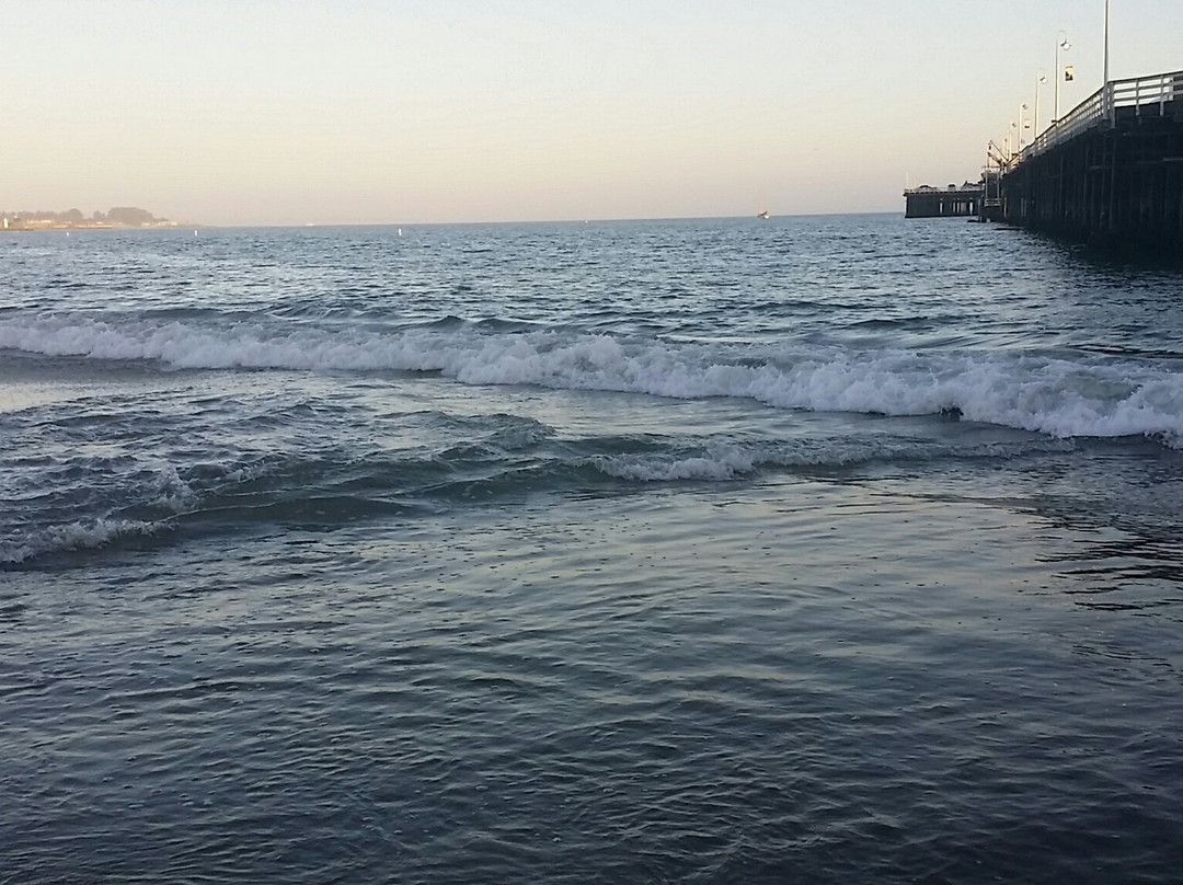 Cowell's Beach-圣克鲁斯必去景点