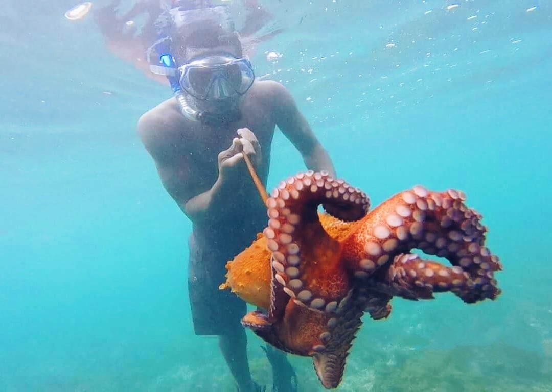 Snorkeling Sao Tome e Principe景点图片