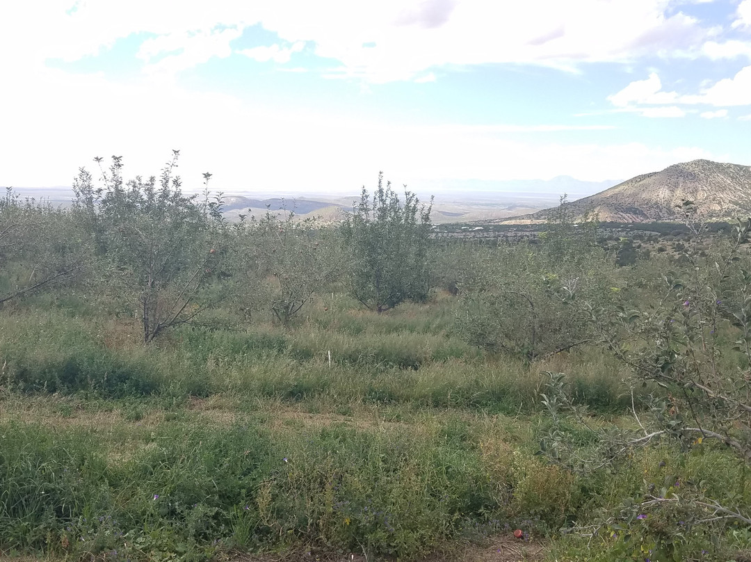 Nichols Ranch and Orchards-Cloudcroft必去景点