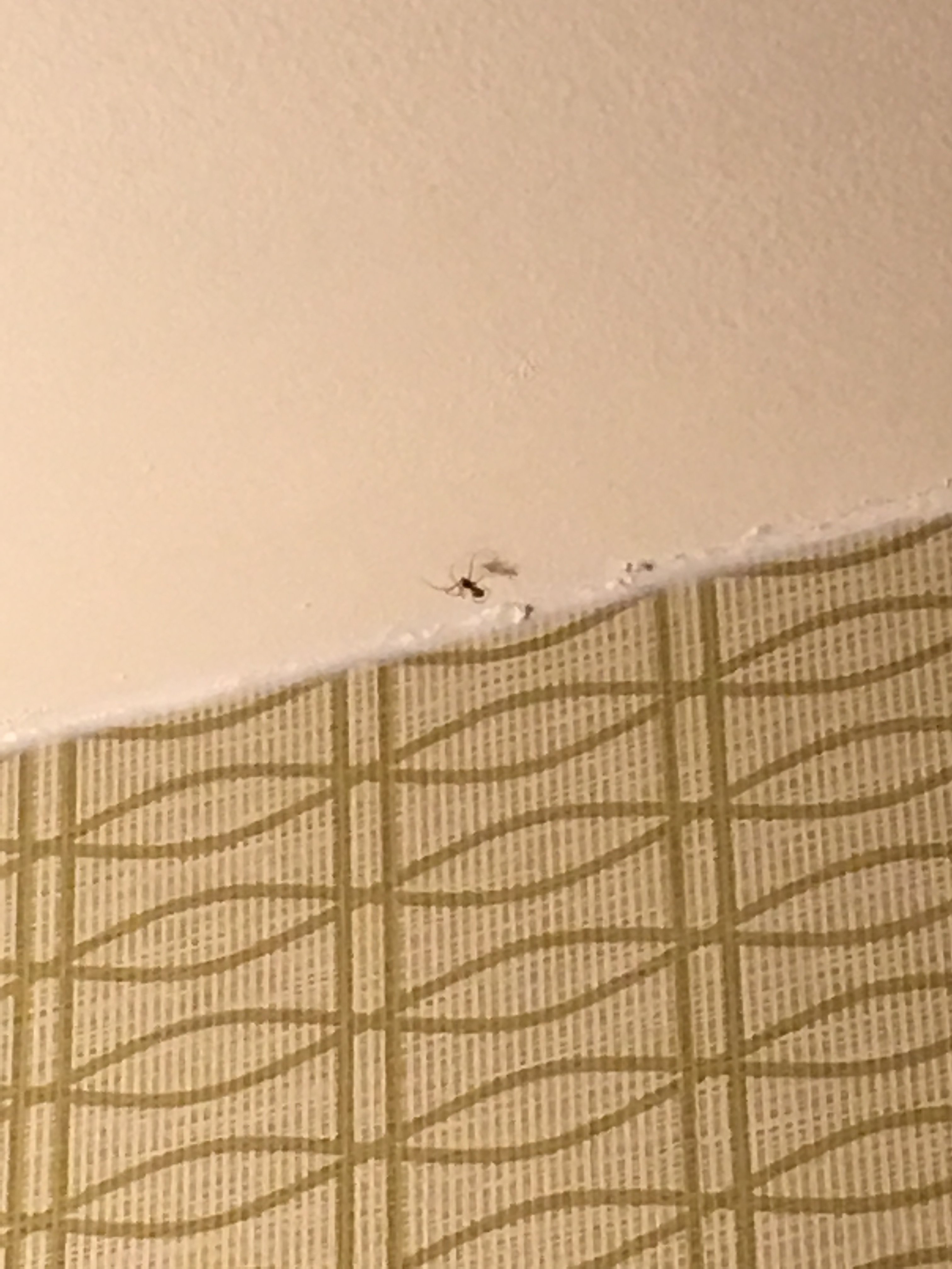 Burrstone Inn, Ascend Hotel Collection-浴室