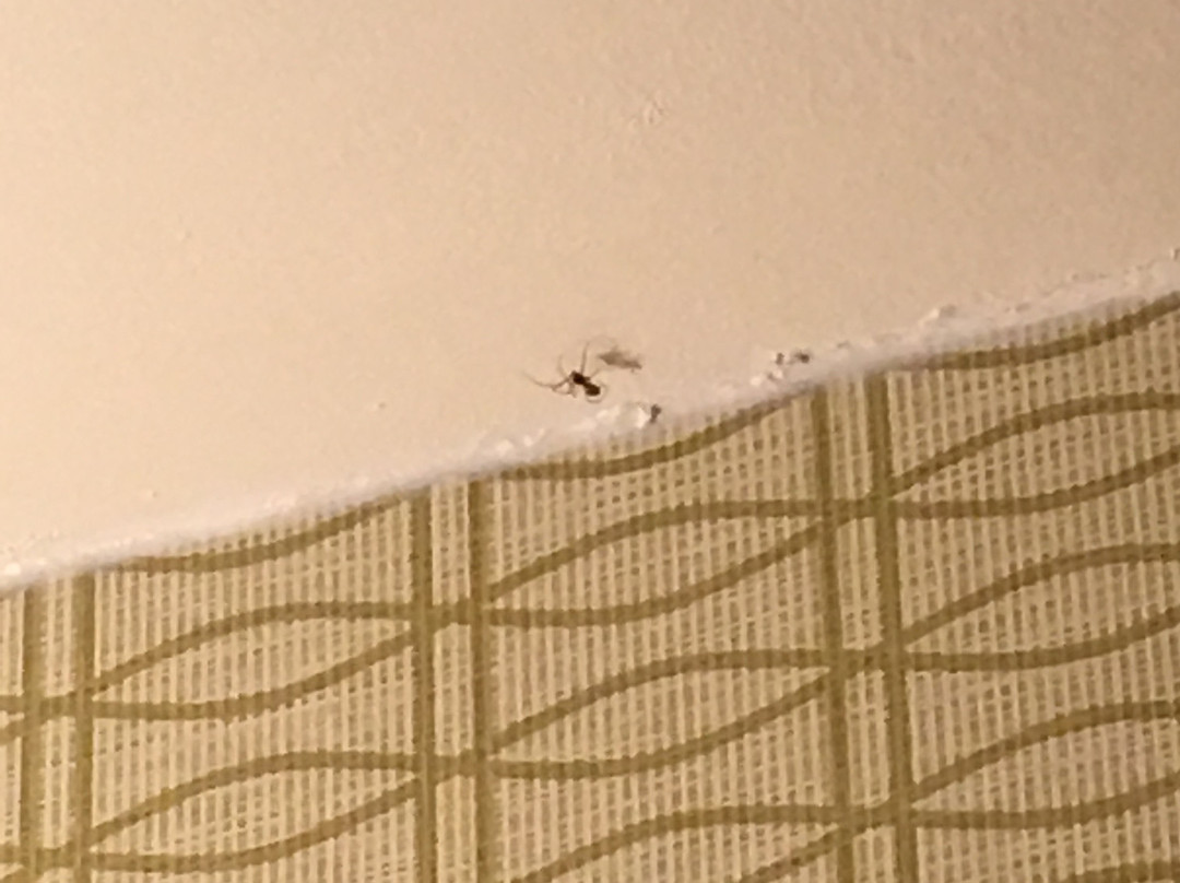 Burrstone Inn, Ascend Hotel Collection主图