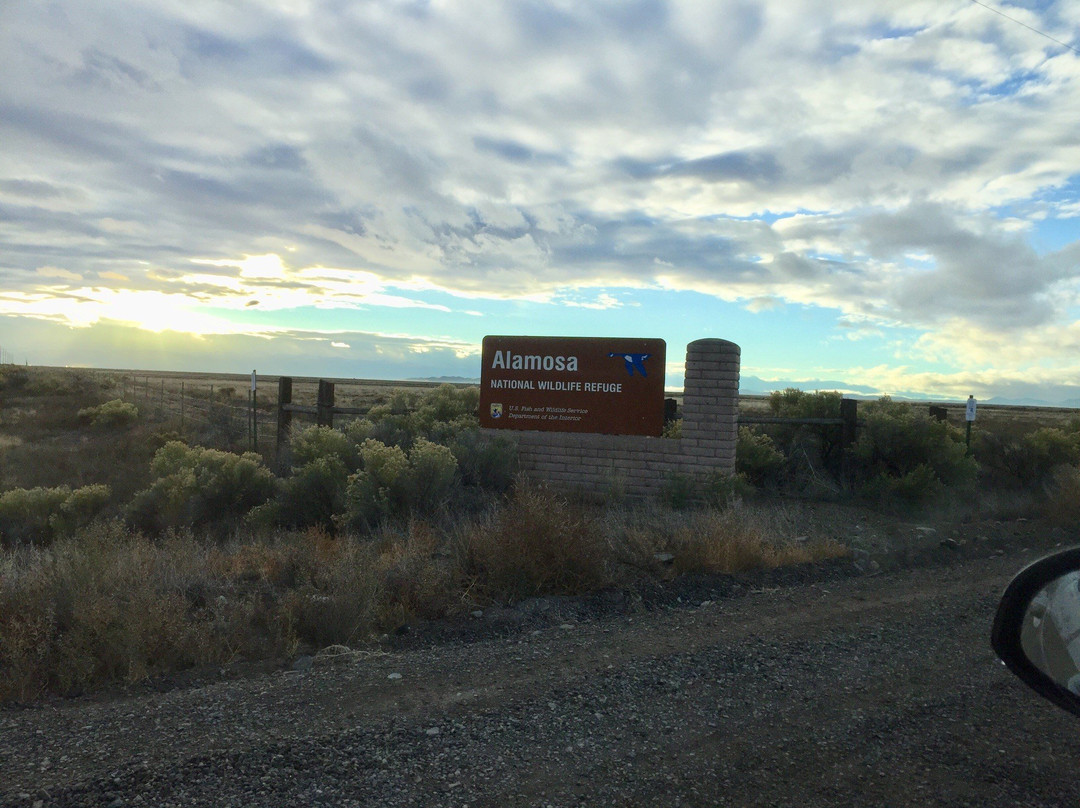 Alamosa National Wildlife Refuge-阿拉莫萨必去景点