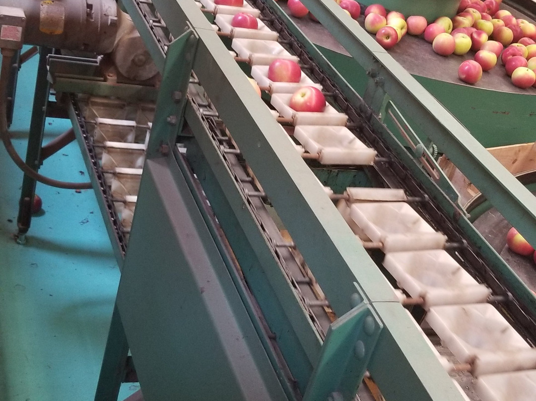 The Big Apple Farm-伦瑟姆必去景点