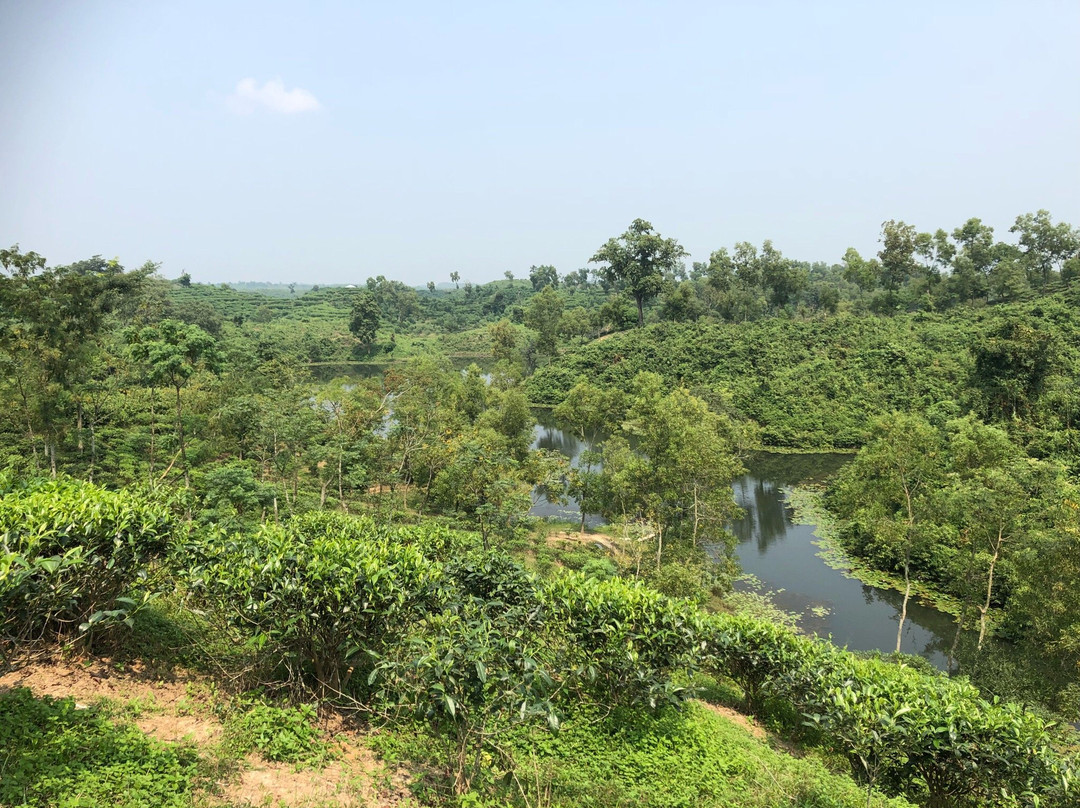 Madhabpur Lake景点图片
