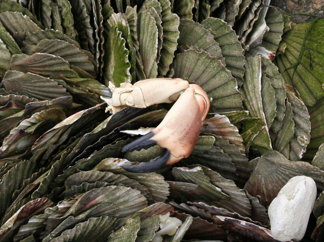 Marché aux poissons景点图片