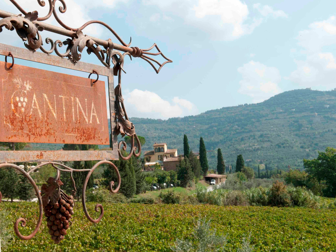 Baracchi Winery景点图片