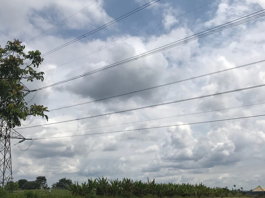 Zenxin Organic Park-居銮必去景点