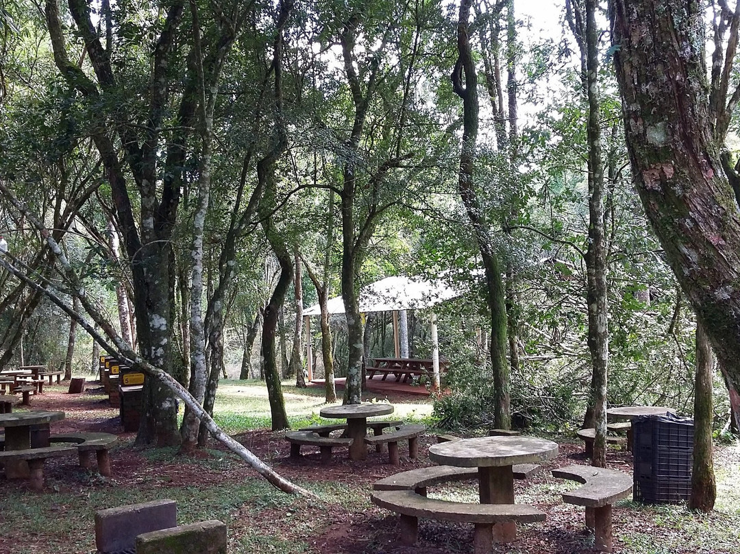 Salto Krysiuk-Guaraní必去景点