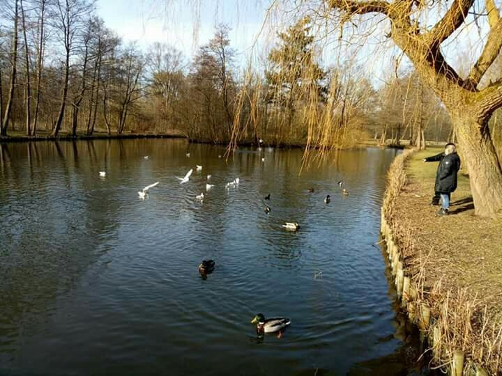 Bygholm Park Legeplads-霍尔森斯必去景点