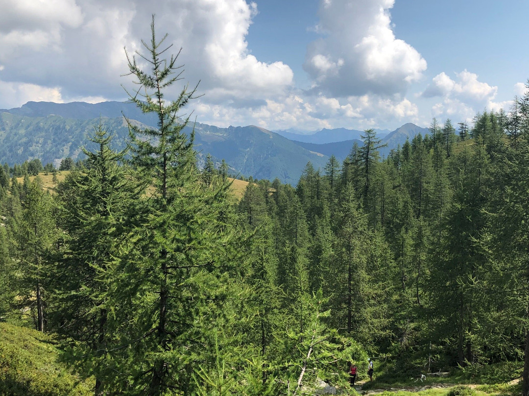 Funivia Zott - Alpe Salei景点图片