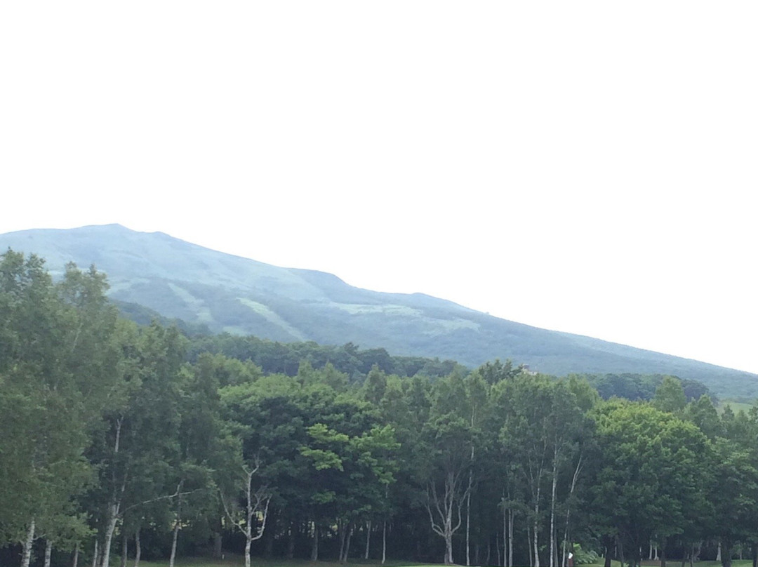 Hanazono Golf-俱知安町必去景点