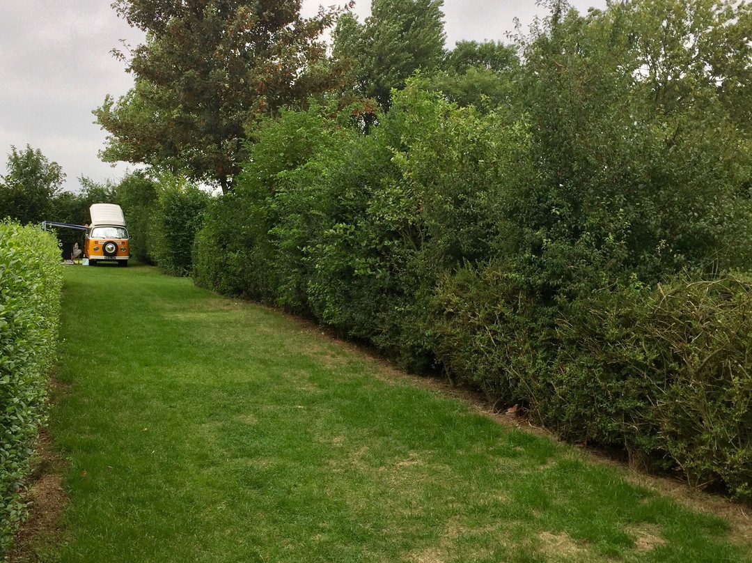 Westerhoeve Camping & Wijngaard