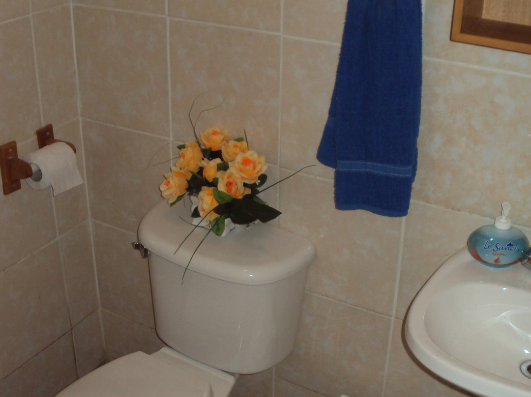 Hosteria Restaurante Rayen主图